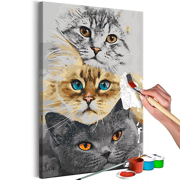 Malen Nach Zahlen - Cat's Trio günstig online kaufen