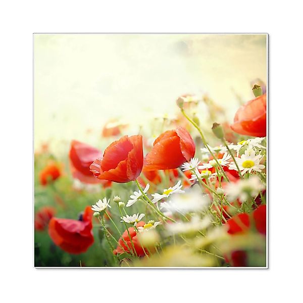 Banjado Magnettafel 50x50cm Magnetwand Weiß Aus Metall Magnetpinnwand Pinnw günstig online kaufen