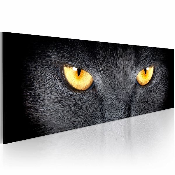 Wandbild - Look Into My Eyes... günstig online kaufen