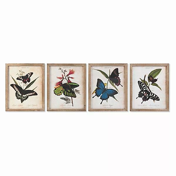 Bild Dkd Home Decor Schmetterlinge (40 X 2 X 50 Cm) (4 Stück) günstig online kaufen