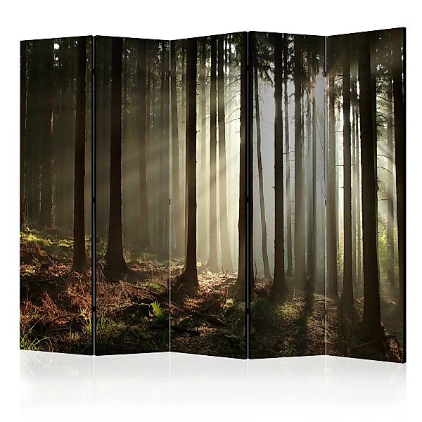 5-teiliges Paravent - Coniferous Forest Ii [room Dividers] günstig online kaufen