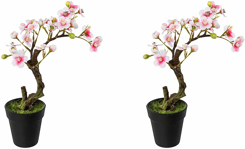 Creativ green Kunstblume "Mandelbonsai im Topf" günstig online kaufen