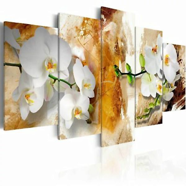 artgeist Wandbild Brown Paint and Orchid braun/weiß Gr. 200 x 100 günstig online kaufen