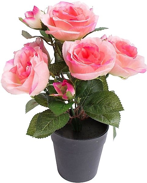 Kunstblume Rosenbusch Rose, Botanic-Haus, Höhe 27 günstig online kaufen