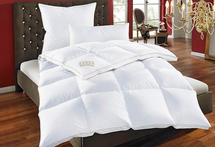 OBB Daunenbettdecke "Emilias, Bettdecken für Sommer und Winter, Ganzjahresd günstig online kaufen