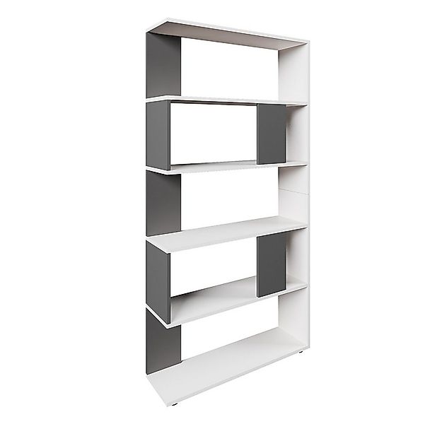 Vicco Raumteiler, Anthrazit, 80 x 163 cm, 1-tlg., Freistehend günstig online kaufen