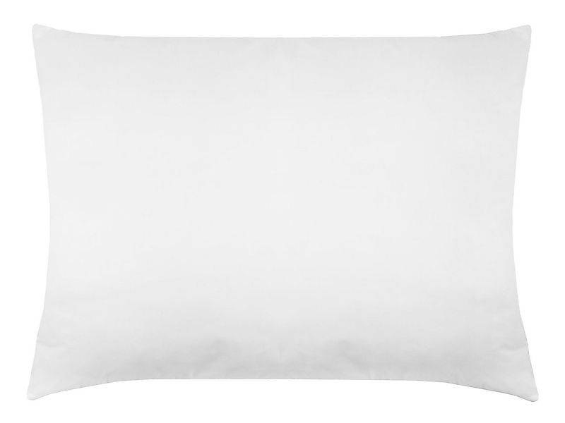 ZOLLNER Kopfkissen, Füllung: 100% Polyester, Seitenschläfer, Rückenschläfer günstig online kaufen