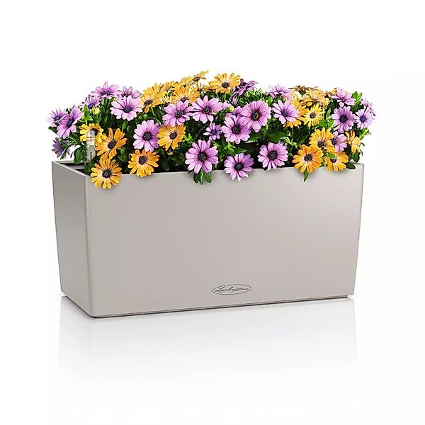 Lechuza® Balkonkasten Balconera Color 40 sandbraun günstig online kaufen