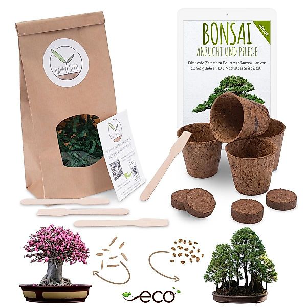 HappySeed Blumensamen Bonsai Anzuchtset inkl. eBook günstig online kaufen
