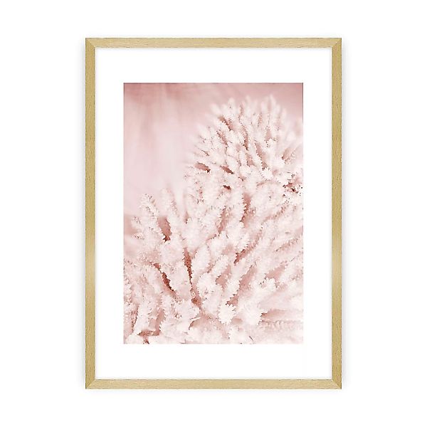 Poster Pastel Pink II, 30 x 40 cm, Rahmen wählen: goldener Rahmen günstig online kaufen