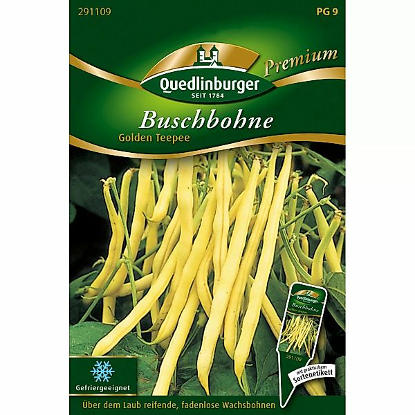 Quedlinburger Buschbohne ''Golden Teepee'' günstig online kaufen