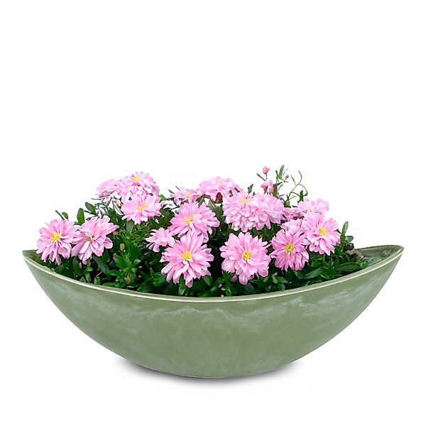 matches21 HOME & HOBBY Blumentopf Große günstig online kaufen