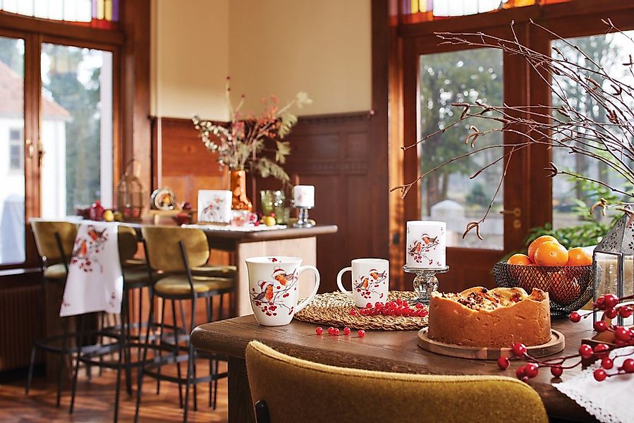 Ambiente® Kochschürze Christmas robins, (1-tlg., 1-teilig), Küchenschürze N günstig online kaufen