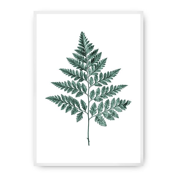 Poster Fern Emerald Green, 40 x 50 cm , Rahmen wählen: weiss günstig online kaufen