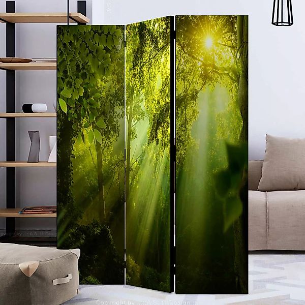 Naturmotiv Paravent blickdichte Leinwand 135 oder 225 cm breit günstig online kaufen