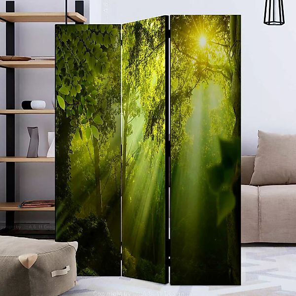 Naturmotiv Paravent blickdichte Leinwand 135 oder 225 cm breit günstig online kaufen