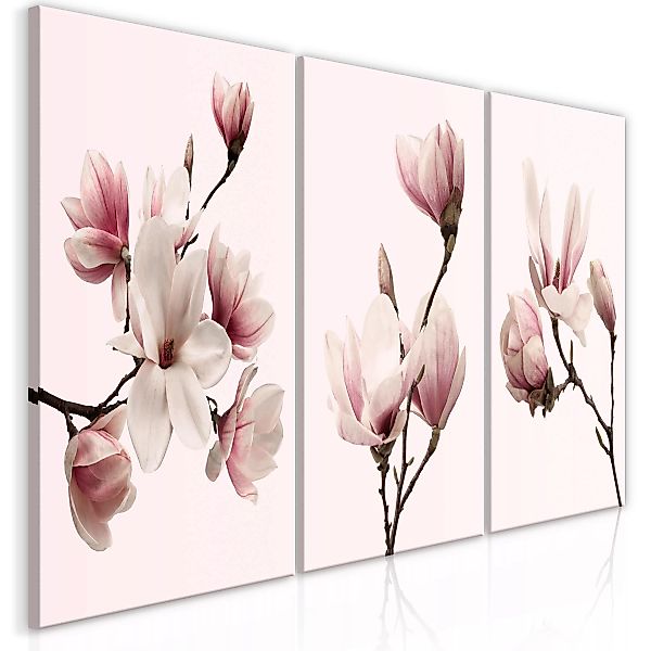 Wandbild - Spring Magnolias (3 Parts) günstig online kaufen