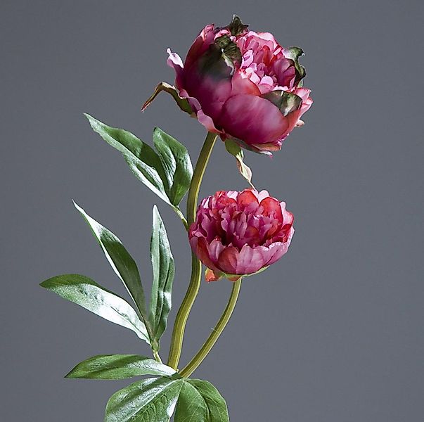 Kunstblume Pfingstrose mit 2 Blüten 60cm günstig online kaufen