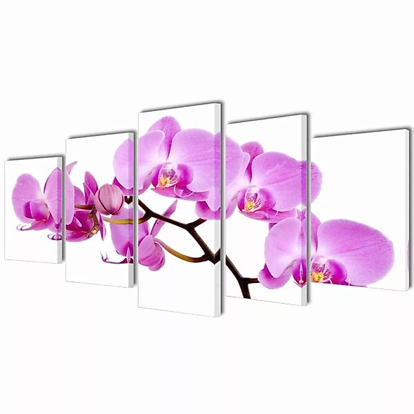 Bilder Dekoration Set Orchidee 200 X 100 Cm günstig online kaufen