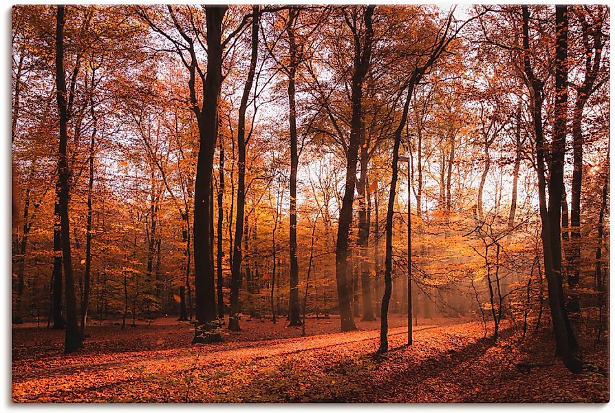 Artland "Sonnenaufgang im Herbst II" Wald 1 Stk. tlg. auf Holzrahmen gespan günstig online kaufen