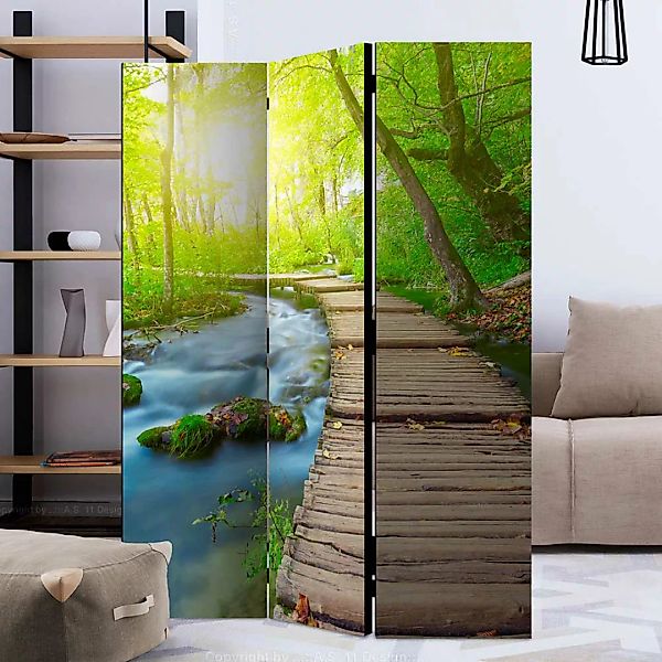 Indoor Sichtschutzwand mit Wald Motiv Leinwandfüllung günstig online kaufen