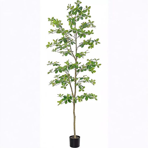 Künstliche Zimmerpflanze Künstlicher Schefflera-Baum Mit natürlichen günstig online kaufen