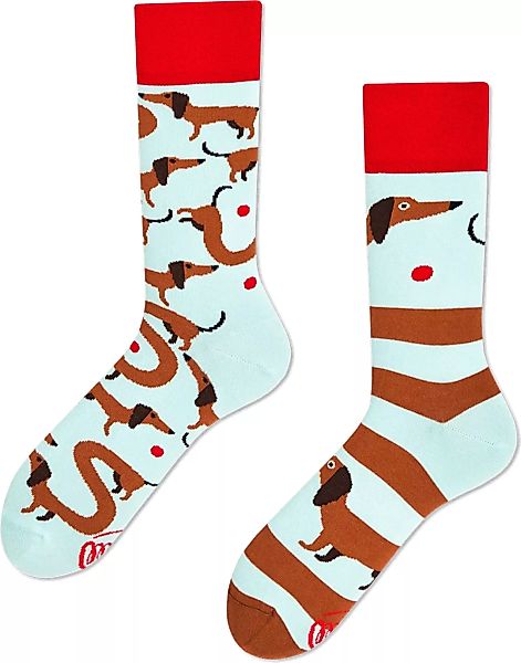 Many Mornings Socken Dackel - Größe 43-46 günstig online kaufen