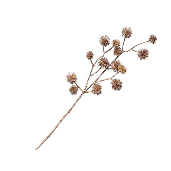 Deko-Zweig Castania  50 cm, 15x5x50 cm günstig online kaufen