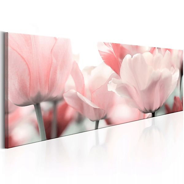 Wandbild - Pink Tulips günstig online kaufen