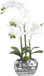 Kunstpflanze Orchidee Orchidee, Creativ green, Höhe günstig online kaufen