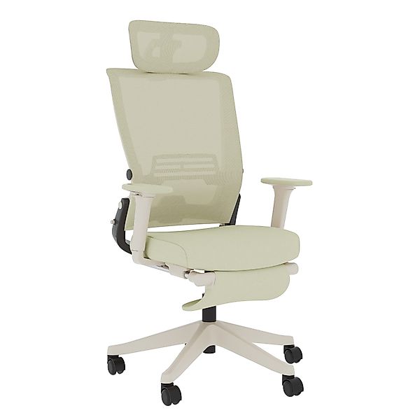 FLEXISPOT Bürostuhl Foldex Ergonomischer Bürostuhl – günstig online kaufen