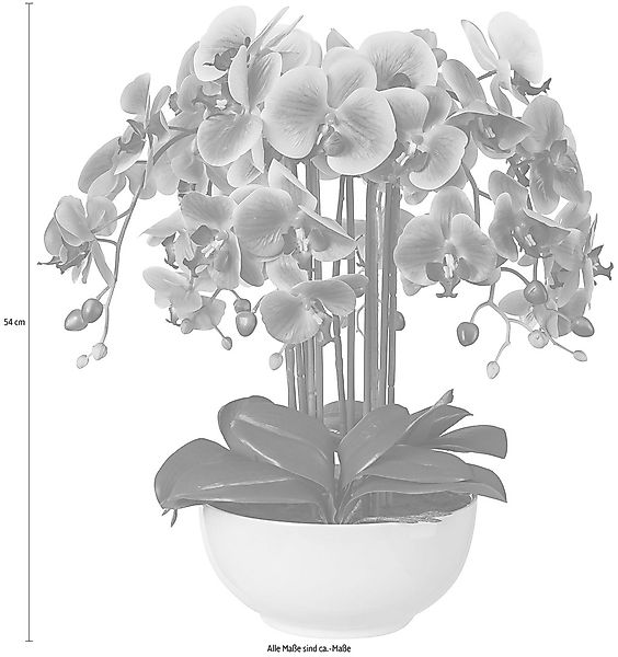 Kunstpflanze Orchidee, Creativ green, Höhe 54 günstig online kaufen