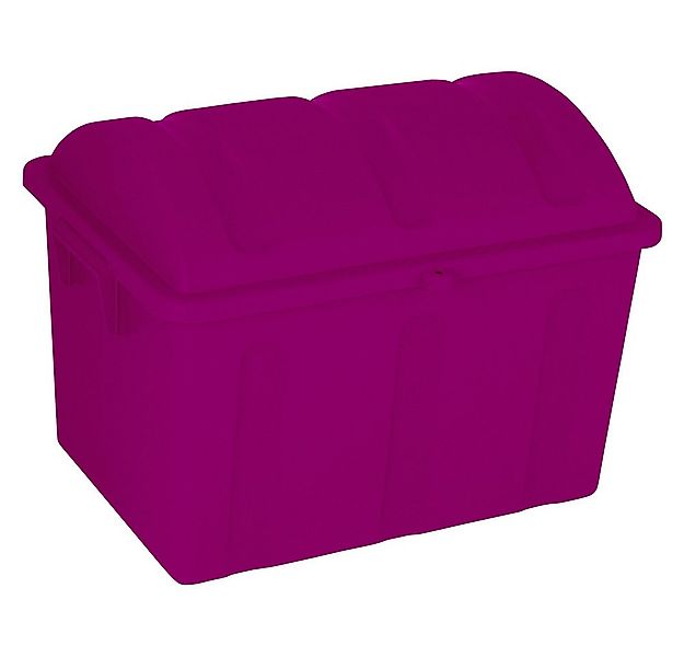 Curver Aufbewahrungsbox Curver 259604 Aufbewahrungsbox Piraten 75 Jahre-Edi günstig online kaufen