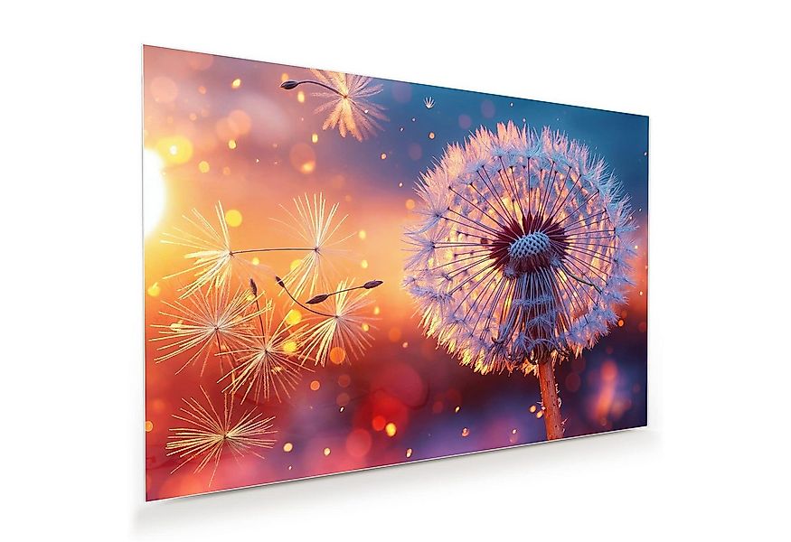 Primedeco Glasbild Wandbild Pusteblume Sonnenuntergang mit Aufhängung, Blum günstig online kaufen