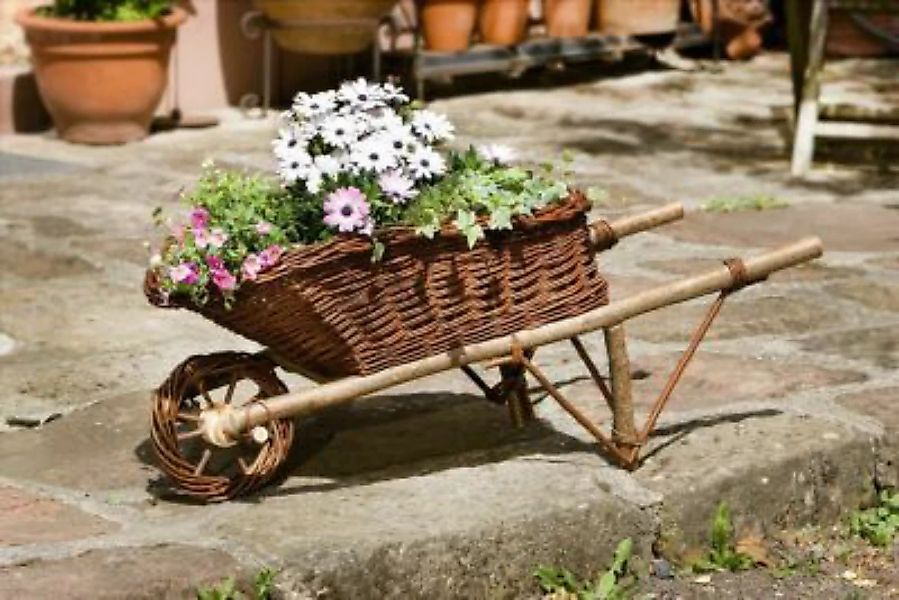 HOME Living Weiden-Schubkarren Weiden-Schubkarren Blumentöpfe braun günstig online kaufen