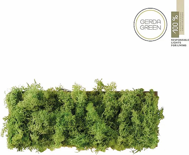 JUST LIGHT Wandleuchte »GREEN CARL«, 6 flammig günstig online kaufen