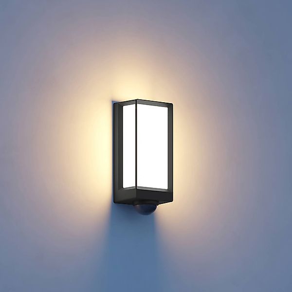 steinel LED Außen-Wandleuchte L 42, mit günstig online kaufen