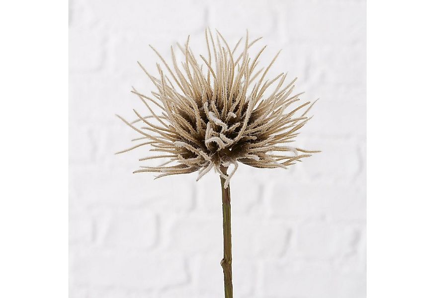 Kunstzweig Dekozweig, Blumen und Blüten, 1 Stück, 25 cm lang, 2028838, BOLT günstig online kaufen