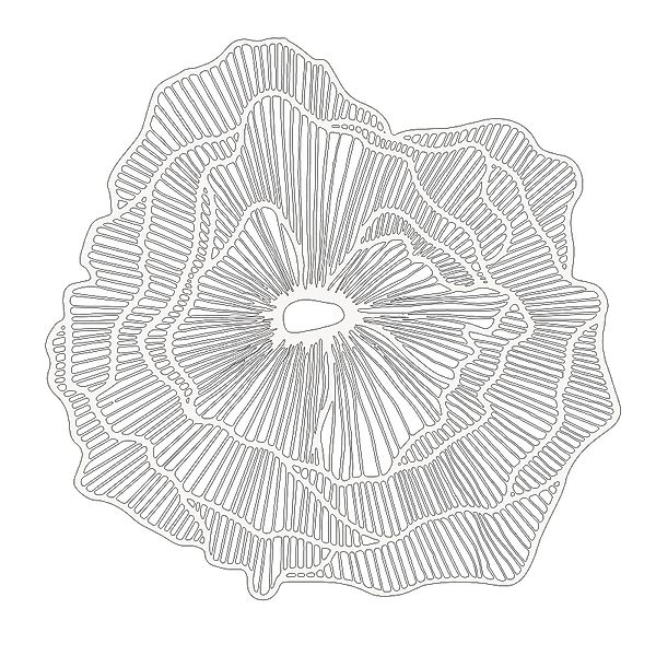 Jumpeak Wanddekoobjekt Minimalistische Linie Blumenkunst, Linie günstig online kaufen