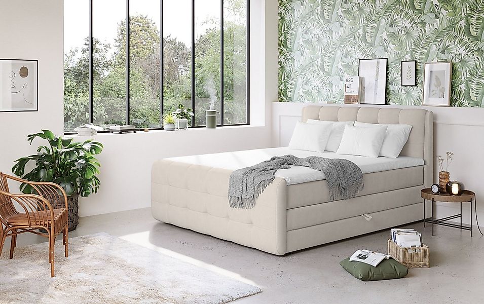 COTTA Boxspringbett Fort mit Bettkasten, inkl. Topper, erhältlich in versch günstig online kaufen