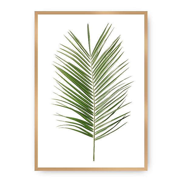 Poster Palm Leaf Green, 70 x 100 cm, Rahmen wählen: gold günstig online kaufen