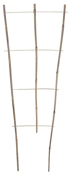 PROREGAL® Rankgitter Pflanzstab BEK20 150x44cm, Stützblumen, günstig online kaufen