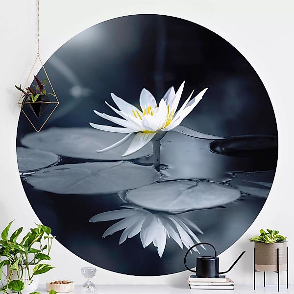 Runde Fototapete selbstklebend Lotus Spiegelung im Wasser günstig online kaufen
