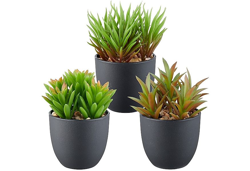 Kunstpflanze Sukkulenten, Creativ green, Höhe 13 cm, mit dekorativem Kies günstig online kaufen