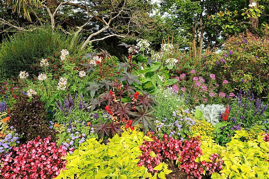 Papermoon Fototapete »GARTEN-BÄUME BLUMEN PFLANZEN PARK STEINE WALD BLÜTEN« günstig online kaufen