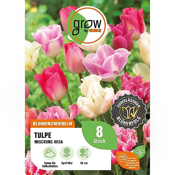 GROW by OBI Tulpen Triumph Mischung Rosa 8 Stück Tulipa triumph Mixed Rosa günstig online kaufen