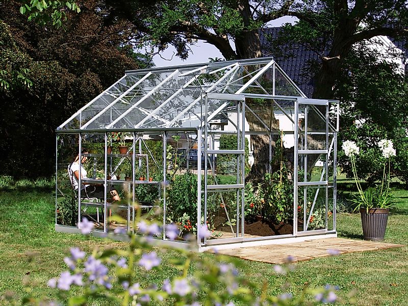 KONIFERA Gewächshaus Calisto 8300, BxTxH: 254 günstig online kaufen