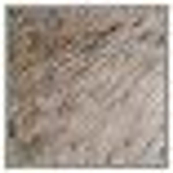 Gözze Fellkissen "Kodiakbär Felloptik" Kissenhülle mit Federfüllung, 1 Stüc günstig online kaufen