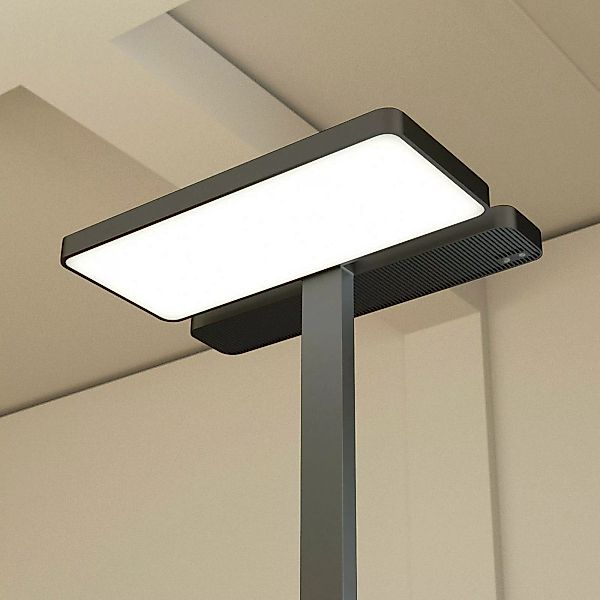 Arcchio LED-Bürostehlampe Aila, schwarz, Tageslichtsensor günstig online kaufen