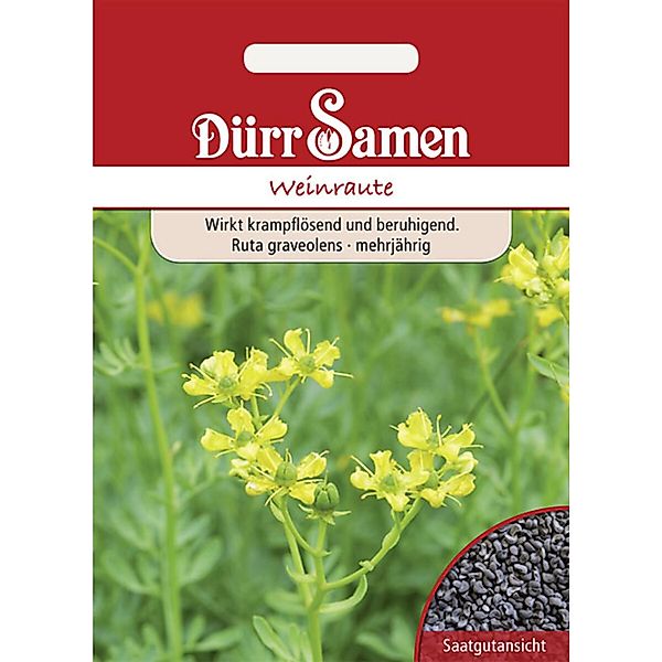 Dürr Samen Weinraute Saatgut günstig online kaufen